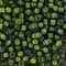 Miyuki 8 Round Seed Bead, 8-3764, White Lined Light Green AB, 10 grams